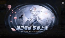 爆料最新皮肤吃鸡视频,皮肤特效大揭秘，视觉盛宴来袭！