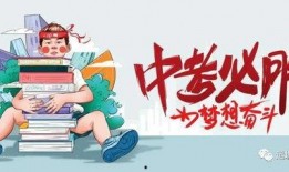 梅华车祸最新爆料消息视频,视频揭露惊人真相，事故原因令人震惊