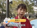 陈女士爱狗人士最新爆料,揭秘爱狗人士最新爱心行动