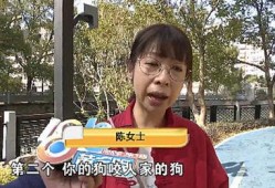 陈女士爱狗人士最新爆料,揭秘爱狗人士最新爱心行动