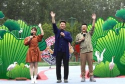 友人映画爆料视频大全最新,揭秘电影幕后精彩瞬间