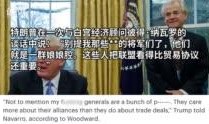 特朗普最新新书爆料视频,权力斗争背后的惊人内幕
