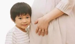 深圳二胎爆料事件最新,事件背后真相与争议再掀波澜